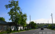 Фотография Ленгера (Бз названия) № 10